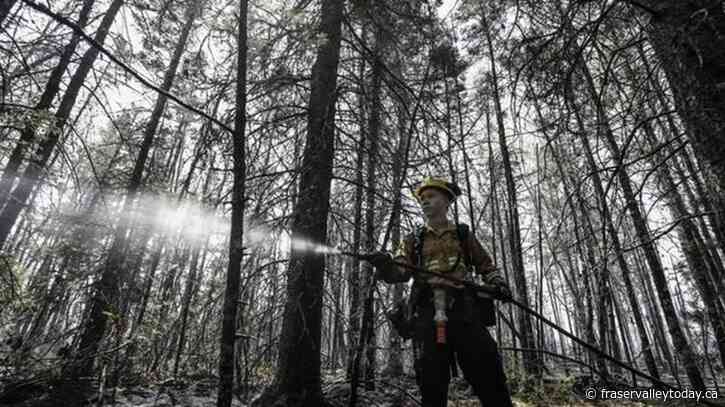 Nearly 700 more international firefighters coming to Canada to help battle fires