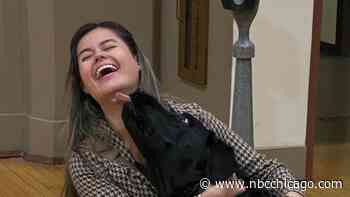 Therapy Dog For Orland Park Police Up For Grant to Continue to Bring Comfort to Community