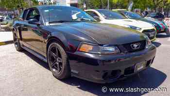 All Of The Best Ford SVT Cars And Trucks, Ranked