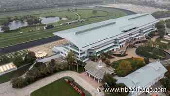 Read the Bears' Full Statement on Exploring New Stadium Sites Besides Arlington Park