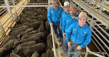 Nutrien Ag raises $50,000 plus for Do it for Dolly