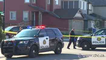 Teen pleads guilty to murder in daytime execution-style killing near Calgary playground