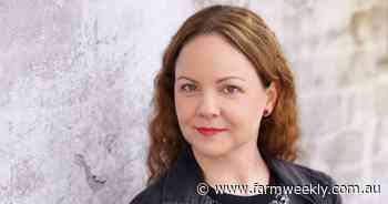 Amanda's Marvel-ous writing career