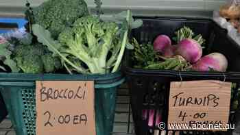 Does the 'honour system' still work? These farm stall operators say it most certainly does