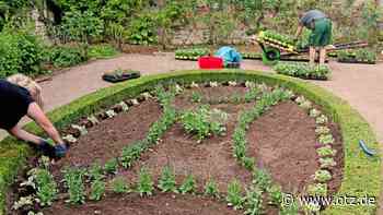 Sommerbepflanzung an den Dornburger Schlössern
