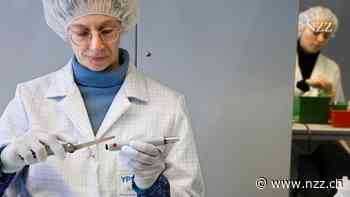 KOMMENTAR - Arbeit im Alter soll sich lohnen – steuerliche Sondersettings für Pensionäre braucht es nicht