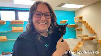 Animal lovers uniting to 'Walk for Pets' in Collingwood