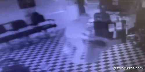 Video: Thieves break into Albuquerque barbershop