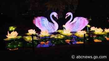 WATCH:  Tianyu Arts & Culture shines bright with their Chinese lantern festivals worldwide