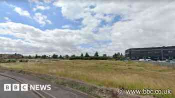 Wisbech development could affect historic port, expert says