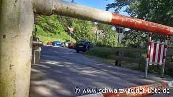 Projekt in Calw: Werden Stadtgarten-Parkplätze zum Zankapfel?