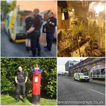 22 arrests, eight stop searches and a cannabis farm