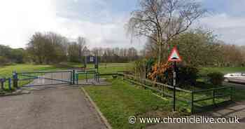 Witnesses sought following death of man at Sunderland swimming spot