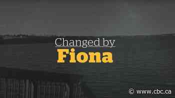 A look at how P.E.I. and its residents are adapting 8 months after Fiona