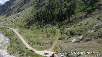 Bäuerin von Kühen angegriffen und durch die Luft geschleudert