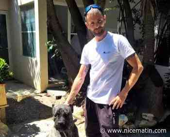 "On est complet": ce refuge azuréen pour chients et chats fait face à une situation "catastrophique"