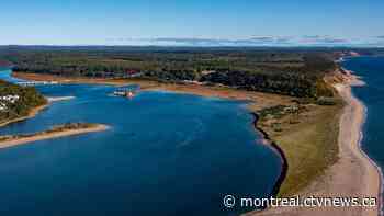 4 children discovered unresponsive on Quebec shoreline