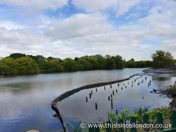 Five Havering parks to enjoy in the sun this summer