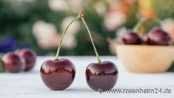 Sie wollen Kirschen entkernen, besitzen aber keinen Kirschentkerner? Drei Alternativen
