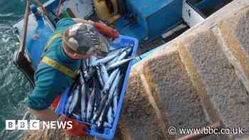 Morecambe and Fleetwood coast wind farm proposed