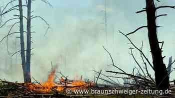 Waldbrand bei Jüterbog dehnt sich stark aus