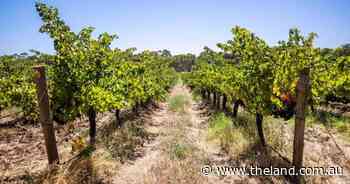 Lack of national organic standard impacts consumer confidence