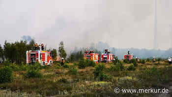 Waldbrand in Brandenburg breitet sich aus: Explosionsgefahr durch Munition – rollen jetzt Panzer an?