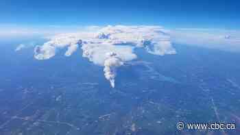 Alberta to drop state of emergency as wildfire situation improves