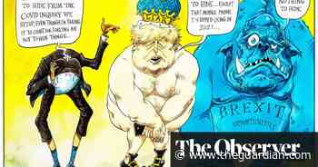 The Covid public inquiry: nothing to see here – cartoon