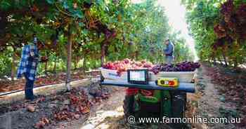 Self-driving robot could help address horticulture labour shortages