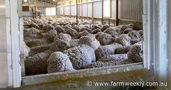 Streamlining information flows for woolclips