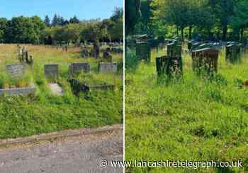 Mother cannot visit son's grave because of overgrown grass
