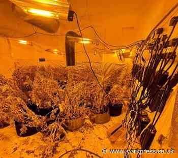 Police warning to landlords over cannabis farms in North Yorkshire