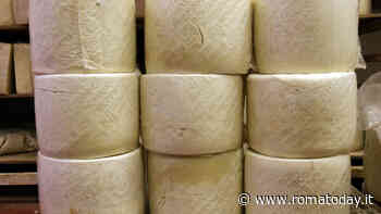 Carbonara e amatriciana a peso d'oro: perché costano sempre di più