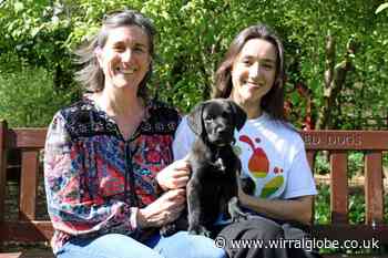 Dogs Trust Merseyside looking for volunteer foster carers