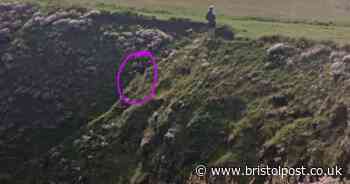 'Idiot' blasted for texting while kids edged towards notorious West Country 80ft hole