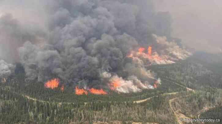 June means trouble for B.C. wildfires with hot, dry forecast set to compound drought