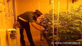 Di padre in figlio: in una dependance due serre indoor per coltivare marijuana
