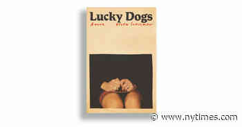 Book Review: ‘Lucky Dogs,’ by Helen Schulman