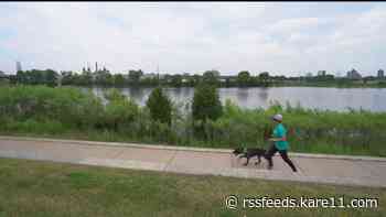 New dog running club taking the pound to the pavement