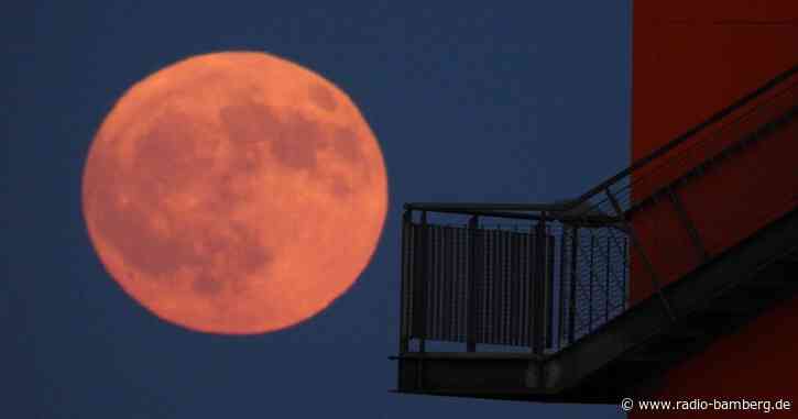 Wenn der «Erdbeermond» am Himmel leuchtet