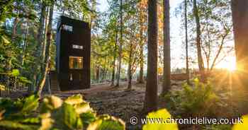 The best glamping destinations in the North East - where you can sleep out under the stars in luxury