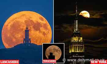 A sweet sight! Stunning 'Strawberry Moon' is seen rising across the world in beautiful images 