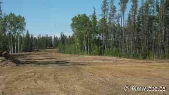 How thinning out trees for dirt, grass and shrubs is part of fighting wildfires