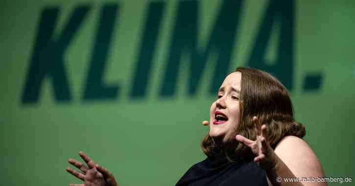 Heizungsstreit: Grünen-Vorsitzende will Umfragen ausblenden