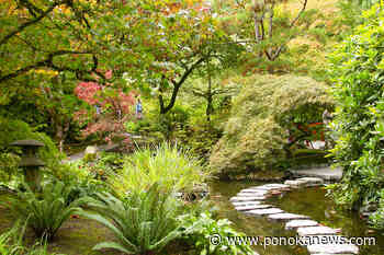 QUIZ: How much do you know about gardens and gardening?