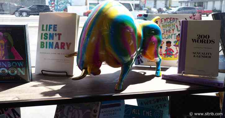 Utah’s indie bookstores are leading the charge against school book bans
