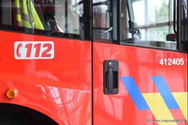 Brandweerkorpsen van Pelt en Bree helpen bij bestrijding bosbrand in Weerterbergen