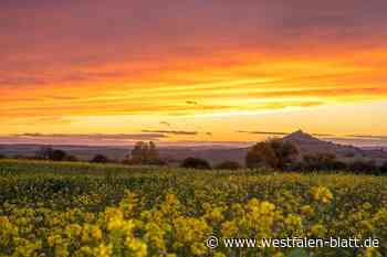 Tourismus: Besucherzahlen in Warburg weiter auf Rekordhöhe