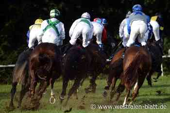 Jockey aus Gütersloh gewinnt Galopp-Klassiker in Düsseldorf